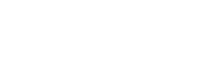 Pablo Chaer & Carol Belei — Treinamentos em IA Jurídica